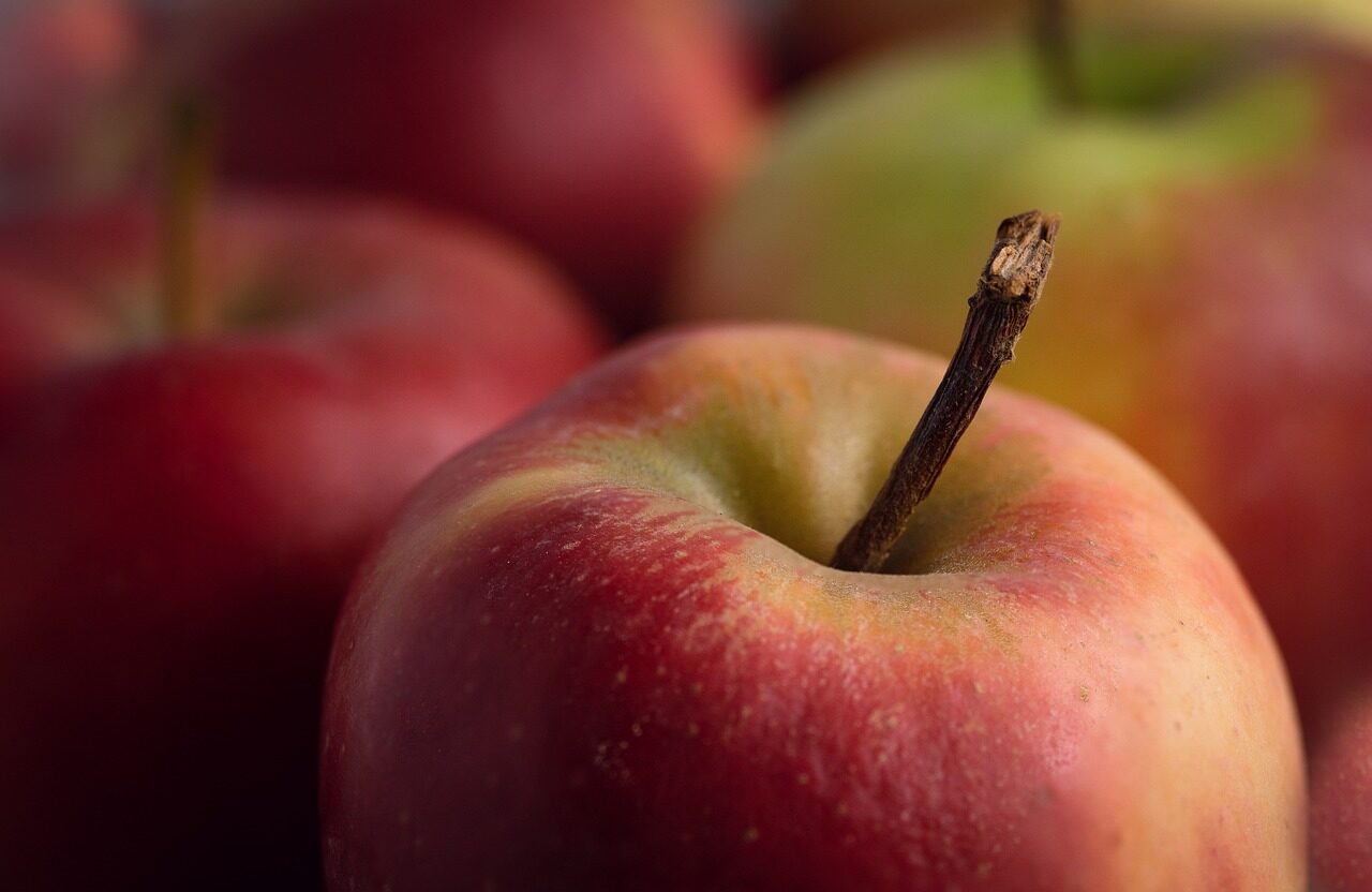 Apfel-Kartoffel-Tag in Blekendorf