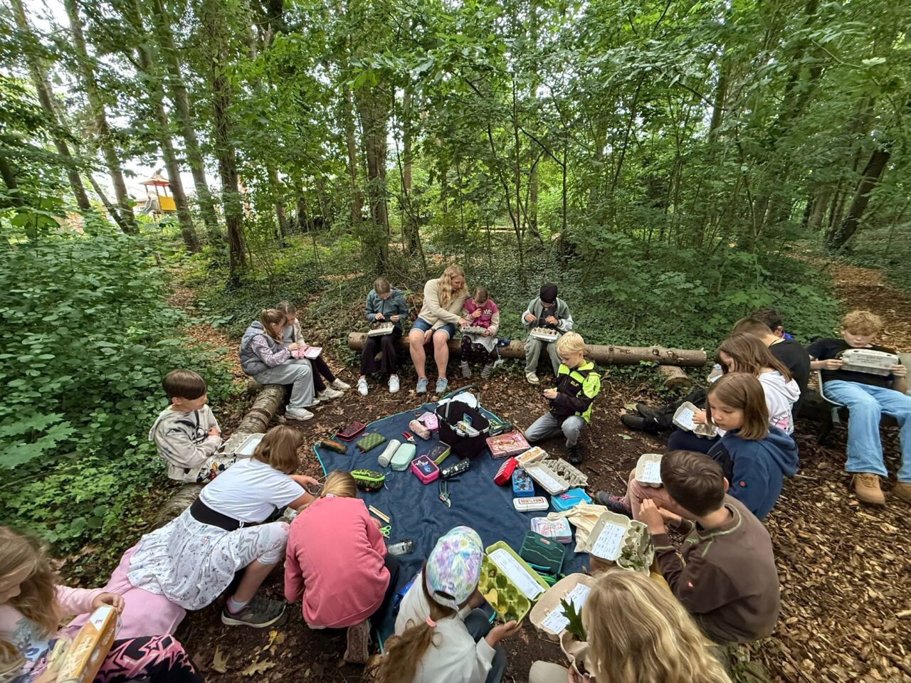 Wenn der Wald ruft, …