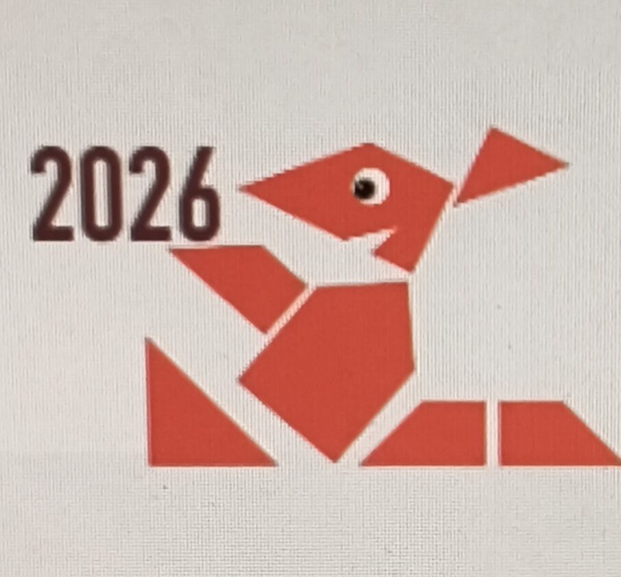 Teilnahme am Känguru Wettbewerb